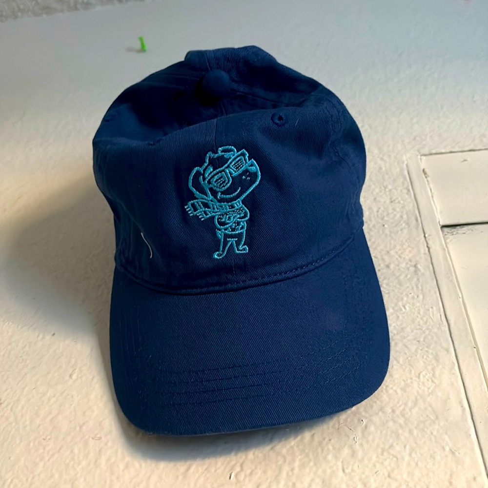 Blue hat brand new adjustable back